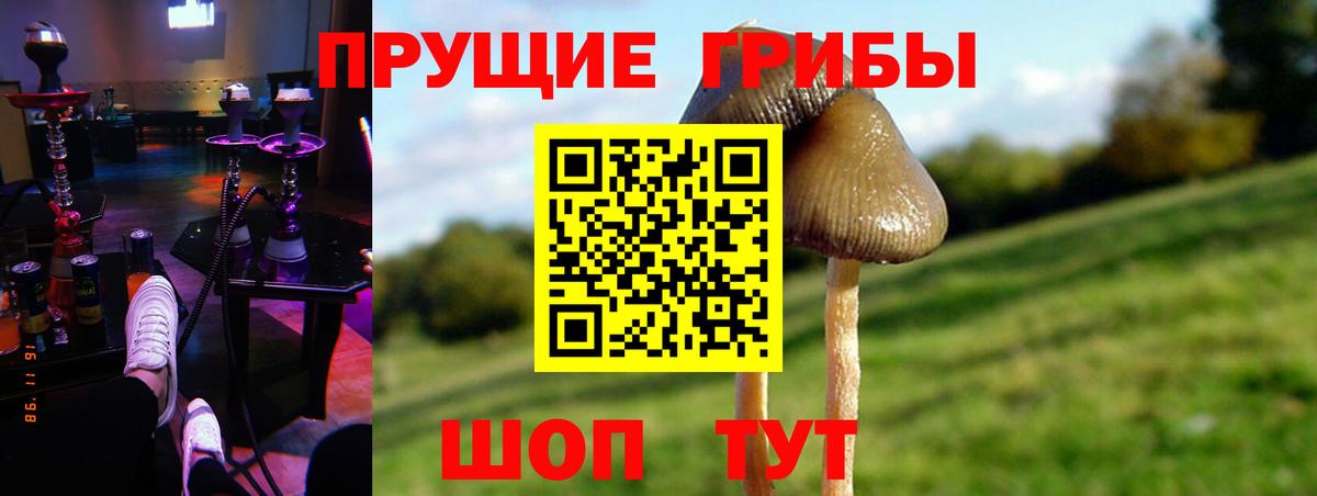 Галлюциногенные грибы Magic Shrooms  Галлюциногенные грибы мухоморы  Жигулёвск  Вход с VPN 
